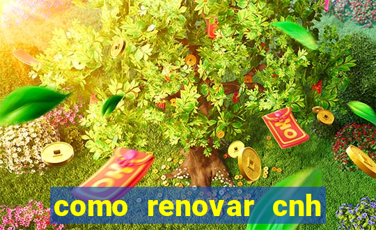 como renovar cnh na bahia